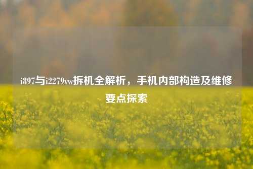 i897与i2279vw拆机全解析，手机内部构造及维修要点探索