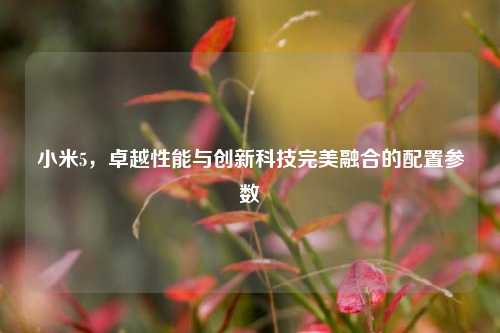小米5，卓越性能与创新科技完美融合的配置参数