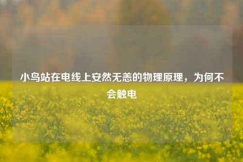 小鸟站在电线上安然无恙的物理原理,为何不会触电