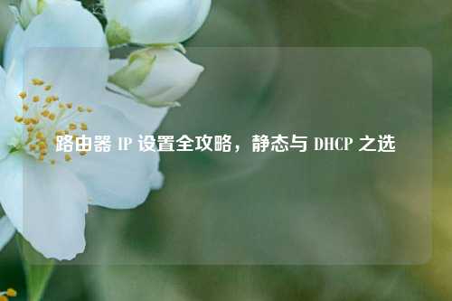 路由器 IP 设置全攻略,静态与 DHCP 之选