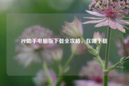 PP助手电脑版下载全攻略，在哪下载