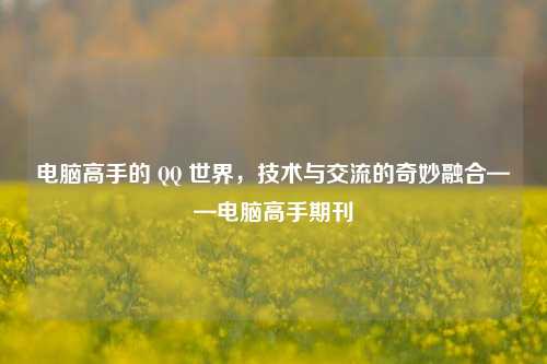 电脑高手的 QQ 世界，技术与交流的奇妙融合——电脑高手期刊