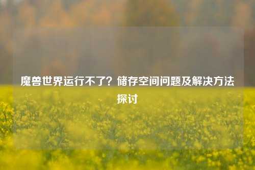 魔兽世界运行不了？储存空间问题及解决方法探讨