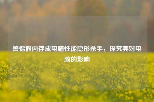 警惕假内存成电脑性能隐形杀手,探究其对电脑的影响