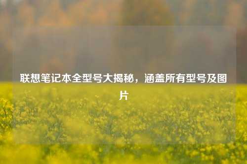 联想笔记本全型号大揭秘,涵盖所有型号及图片