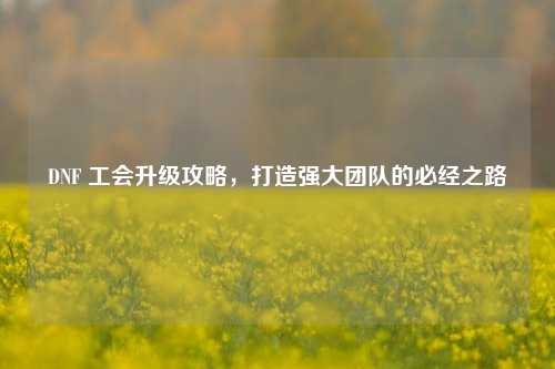 DNF 工会升级攻略,打造强大团队的必经之路