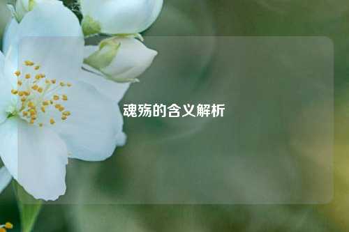 魂殇的含义解析
