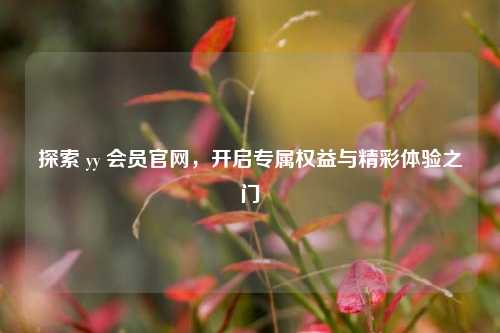 探索 yy 会员官网,开启专属权益与精彩体验之门