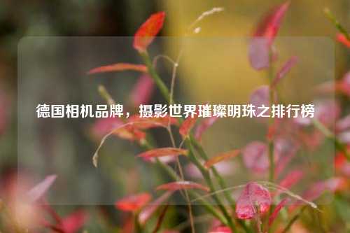 德国相机品牌，摄影世界璀璨明珠之排行榜