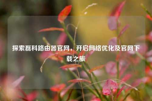 探索磊科路由器官网,开启网络优化及官网下载之旅