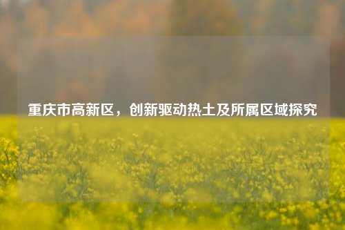 重庆市高新区,创新驱动热土及所属区域探究