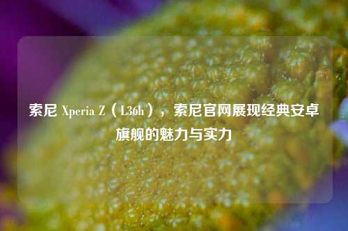 索尼 Xperia Z(L36h),索尼官网展现经典安卓旗舰的魅力与实力
