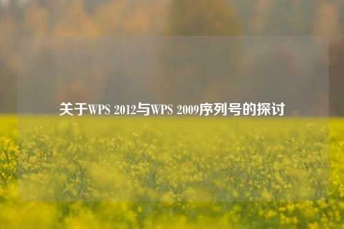 关于WPS 2012与WPS 2009序列号的探讨