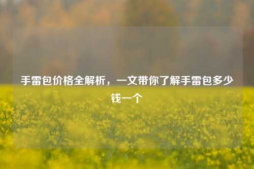 手雷包价格全解析，一文带你了解手雷包多少钱一个