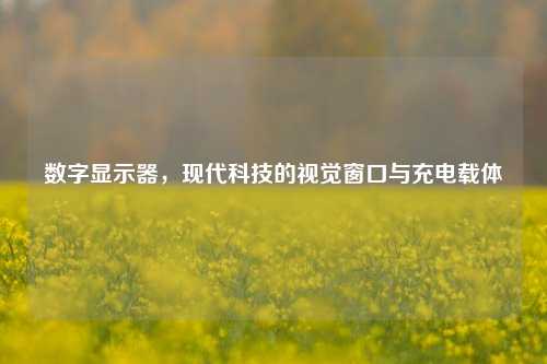 数字显示器,现代科技的视觉窗口与充电载体