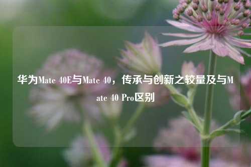 华为Mate 40E与Mate 40，传承与创新之较量及与Mate 40 Pro区别