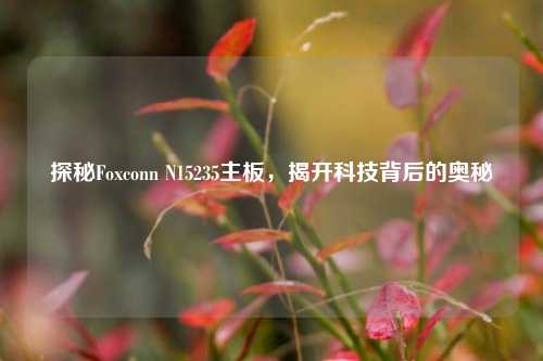 探秘Foxconn N15235主板,揭开科技背后的奥秘