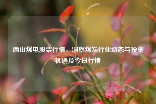 西山煤电股票行情,洞察煤炭行业动态与投资机遇及今日行情