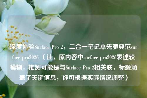 深度体验Surface Pro 2,二合一笔记本先驱典范surface pro2026 (注,原内容中surface pro2026表述较模糊,推测可能是与Surface Pro 2相关联,标题涵盖了关键信息,你可根据实际情况调整)