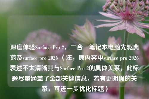 深度体验Surface Pro 2,二合一笔记本电脑先驱典范及surface pro 2026 (注,原内容中surface pro 2026表述不太清晰其与Surface Pro 2的具体关系,此标题尽量涵盖了全部关键信息,若有更明确的关系,可进一步优化标题)