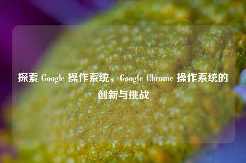 探索 Google 操作系统,Google Chrome 操作系统的创新与挑战