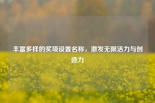 丰富多样的奖项设置名称，激发无限活力与创造力