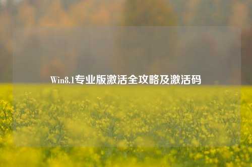 Win8.1专业版激活全攻略及激活码