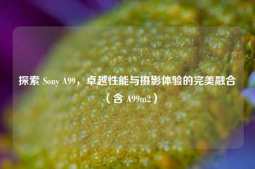 探索 Sony A99,卓越性能与摄影体验的完美融合(含 A99m2)