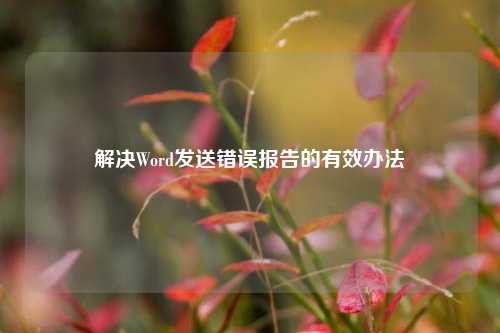 解决Word发送错误报告的有效办法