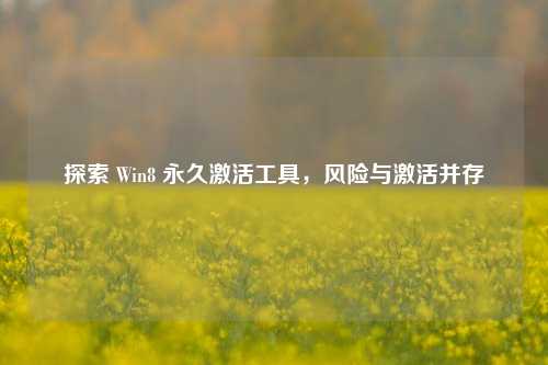 探索 Win8 永久激活工具,风险与激活并存