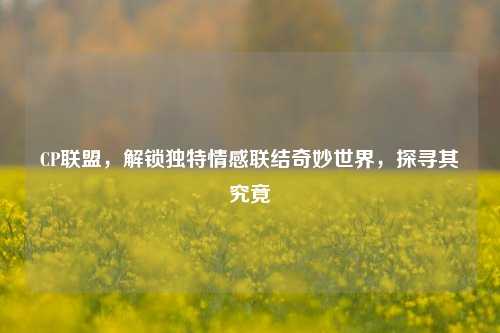 CP联盟,解锁独特情感联结奇妙世界,探寻其究竟