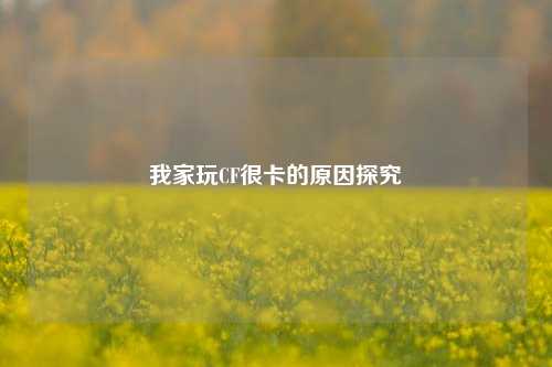 我家玩CF很卡的原因探究
