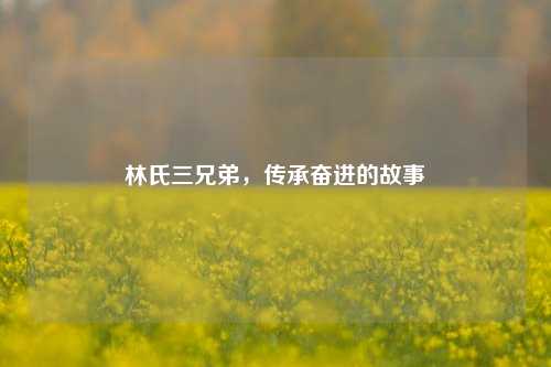 林氏三兄弟，传承奋进的故事