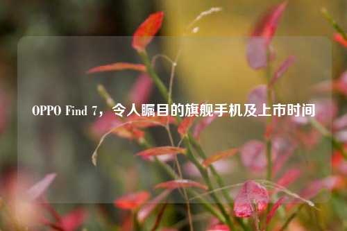 OPPO Find 7,令人瞩目的旗舰手机及上市时间