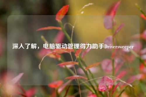 深入了解,电脑驱动管理得力助手Driversweeper
