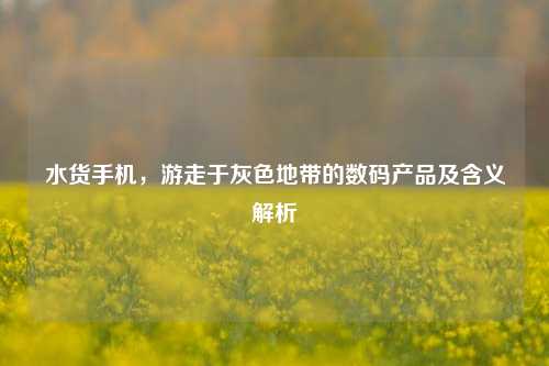 水货手机,游走于灰色地带的数码产品及含义解析
