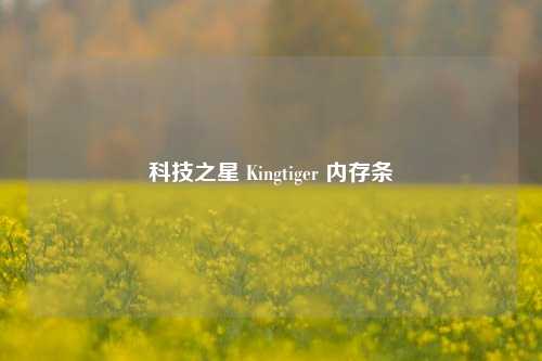 科技之星 Kingtiger 内存条