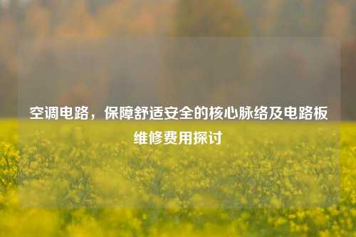 空调电路,保障舒适安全的核心脉络及电路板维修费用探讨