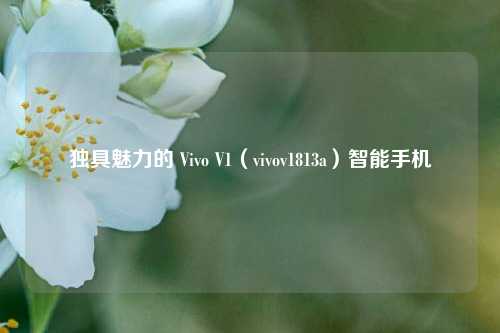 独具魅力的 Vivo V1(vivov1813a)智能手机