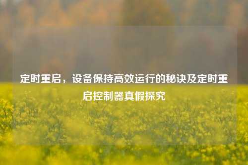 定时重启,设备保持高效运行的秘诀及定时重启控制器真假探究