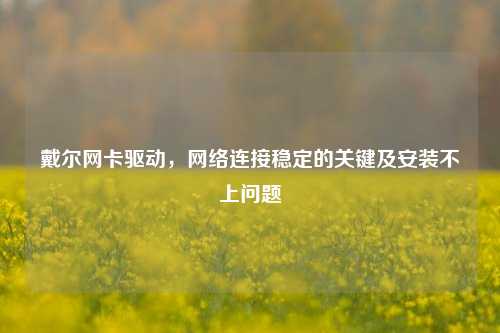 戴尔网卡驱动，网络连接稳定的关键及安装不上问题