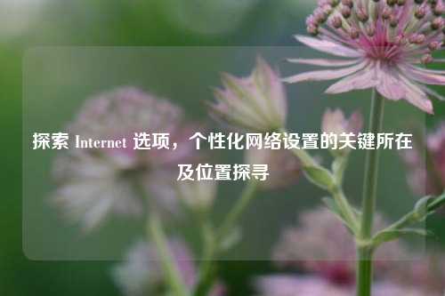 探索 Internet 选项,个性化网络设置的关键所在及位置探寻