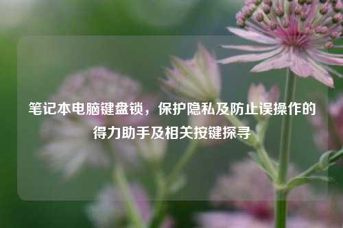 笔记本电脑键盘锁,保护隐私及防止误操作的得力助手及相关按键探寻