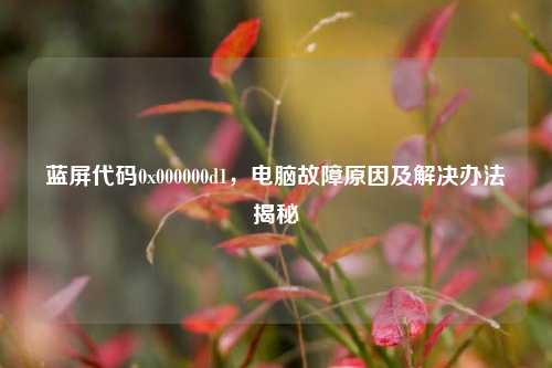 蓝屏代码0x000000d1,电脑故障原因及解决办法揭秘