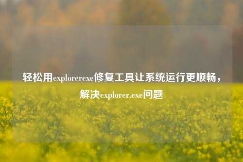 轻松用explorerexe修复工具让系统运行更顺畅,解决explorer.exe问题
