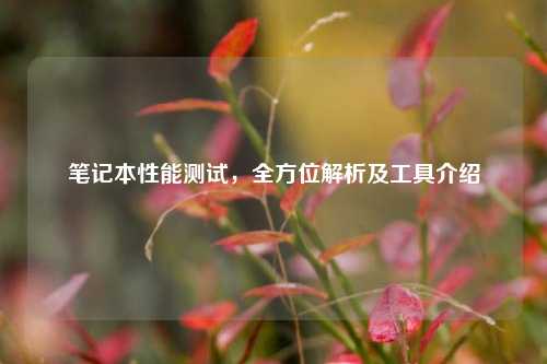 笔记本性能测试,全方位解析及工具介绍