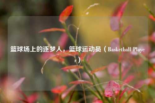 篮球场上的逐梦人,篮球运动员(Basketball Player)