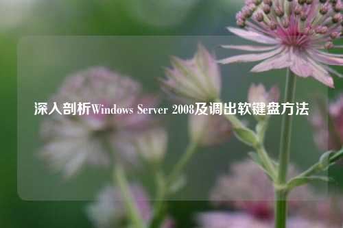 深入剖析Windows Server 2008及调出软键盘方法