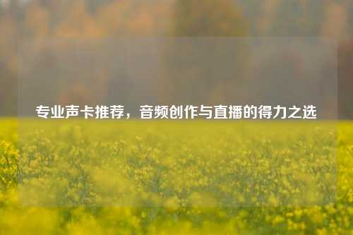 专业声卡推荐，音频创作与直播的得力之选