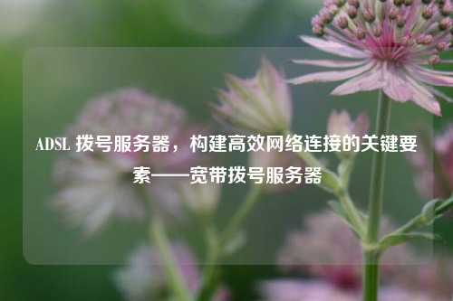 ADSL 拨号服务器,构建高效网络连接的关键要素——宽带拨号服务器